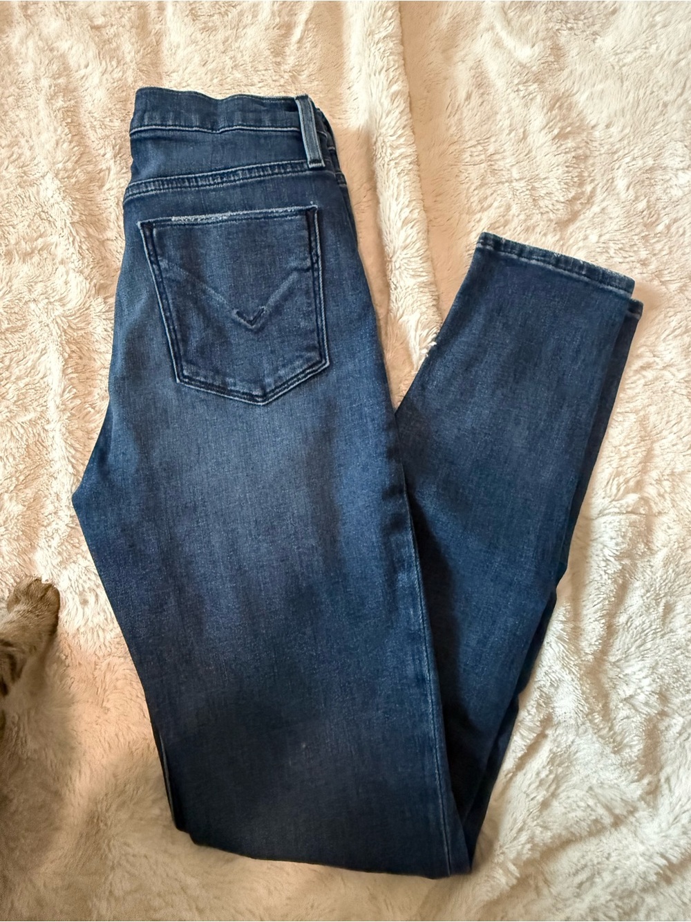 Hudson Skinny Jeans